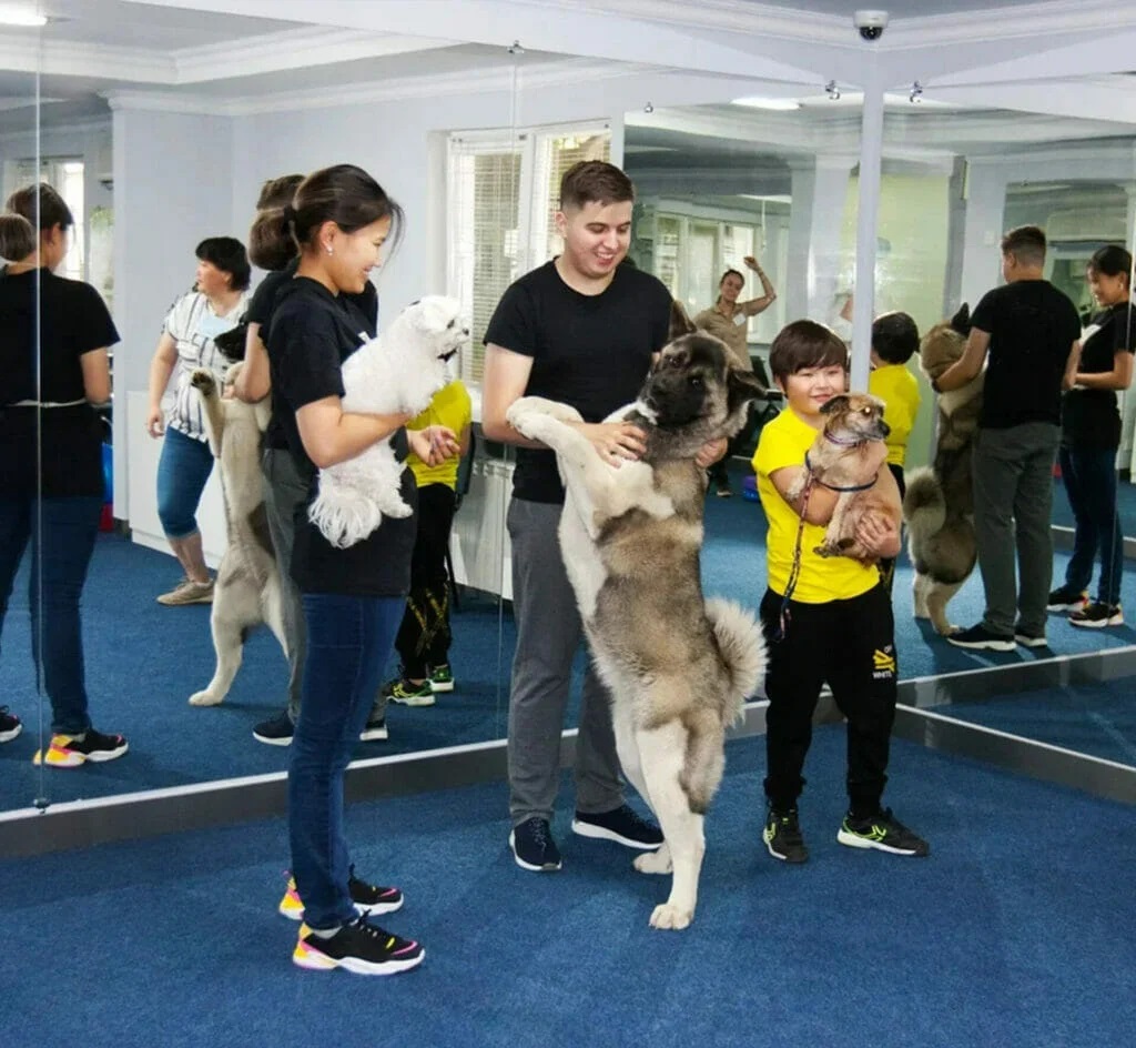 Детский сад для собак ДОМ ЦВМ в Алматы